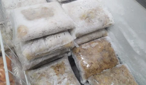 Vigilância Sanitária apreende 150kg de pescado irregular, em Manaus