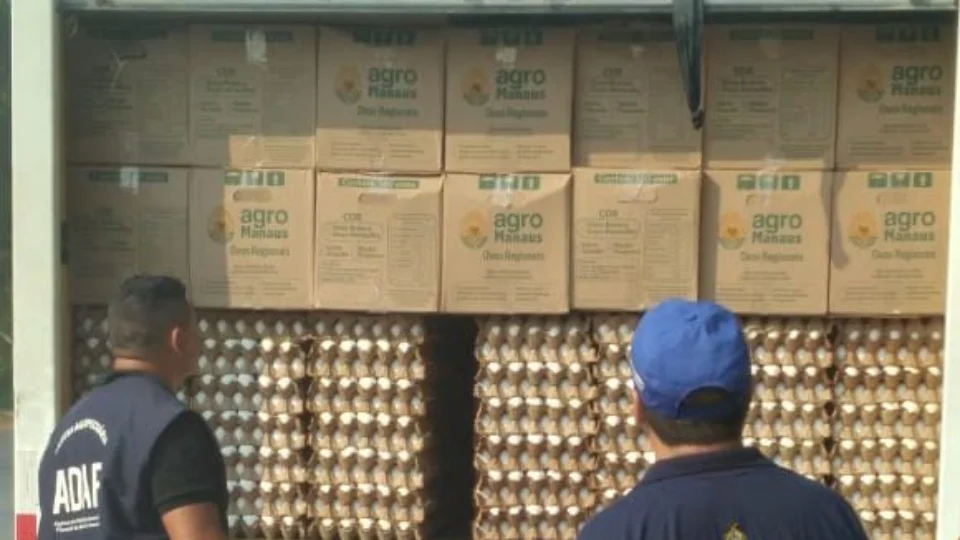 Carga irregular de ovos e agrotóxicos são apreendidos na rodovia AM-010