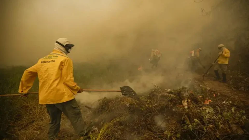 Pantanal: incêndios cercam rodovias e destruição chega a 950 mil hectares