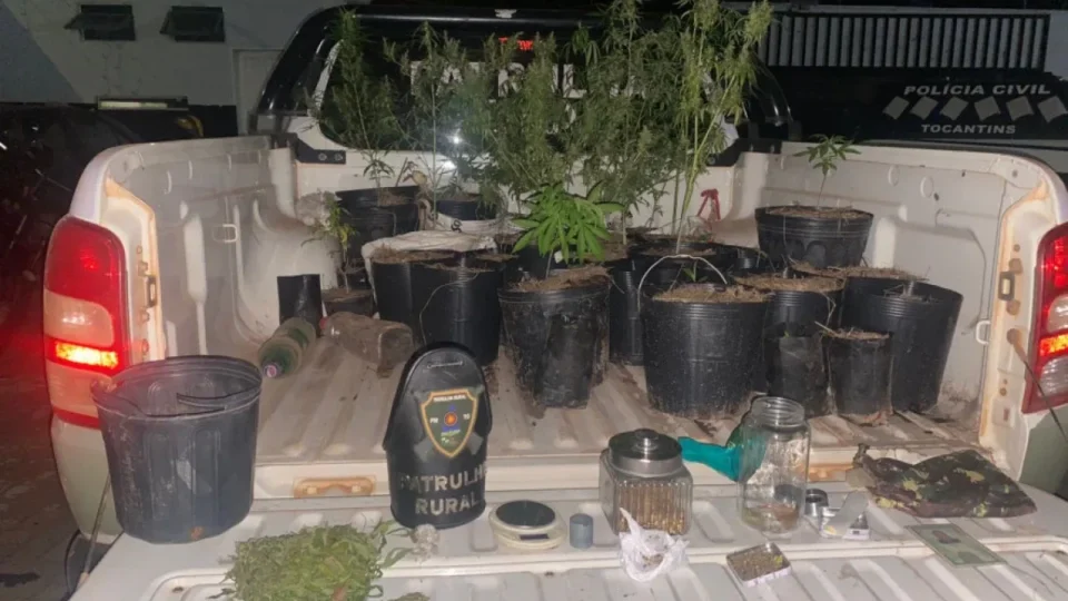 Homem que cultivava maconha é preso em zona rural do Tocantins