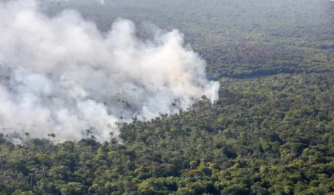 MP cobra do Ipaam dados dos responsáveis por queimadas ilegais no Amazonas