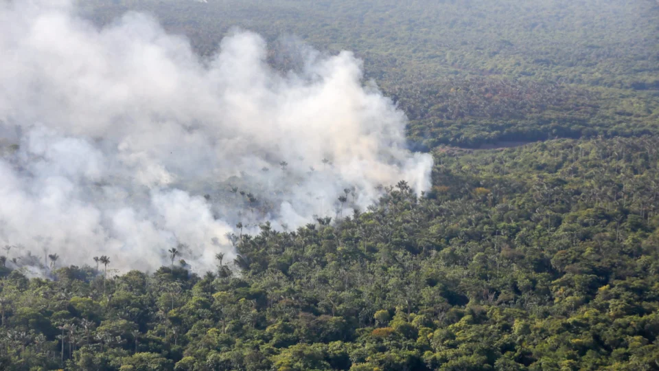 MP cobra do Ipaam dados dos responsáveis por queimadas ilegais no Amazonas
