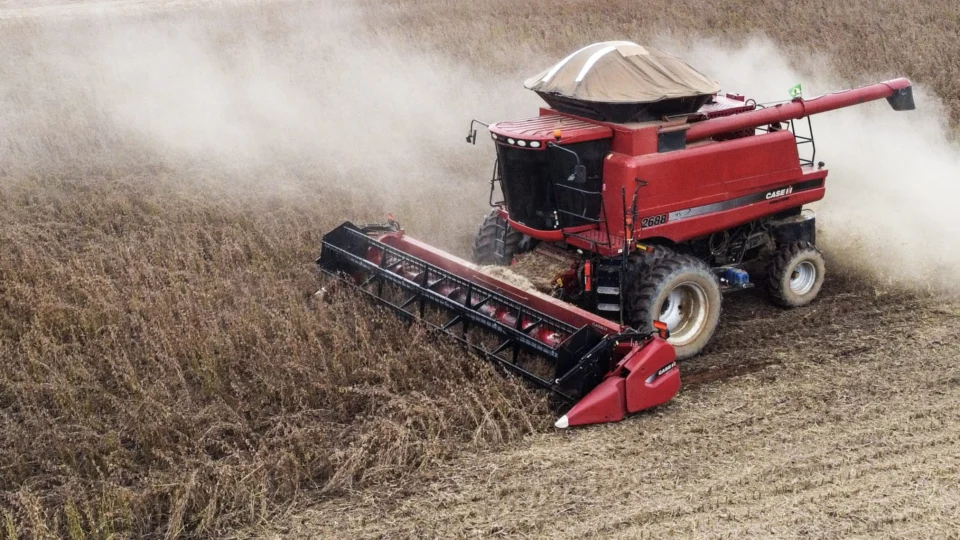 Produção de milho e soja no Acre é a maior em 30 anos, diz estudo da Ipea