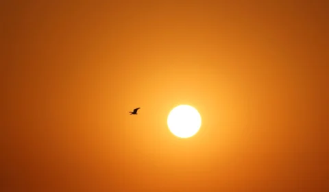 Novo recorde de calor: 2023 tem o novembro mais quente da história