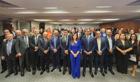 Senadora Dorinha reúne bancada federal do TO para ouvir demandas para 2024