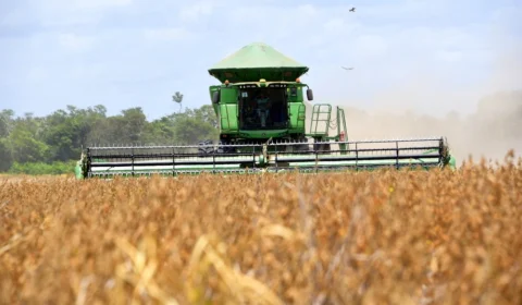 Criação de empregos no setor agropecuário tem aumento de 21% em RR