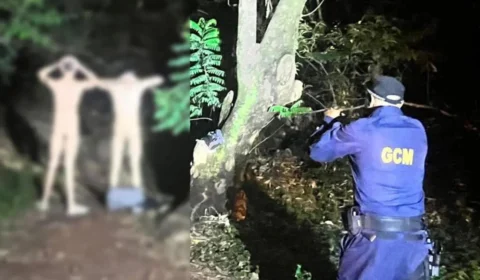 Homens fazendo sexo em bosque são flagrados por Guarda Metropolitana de Goiânia