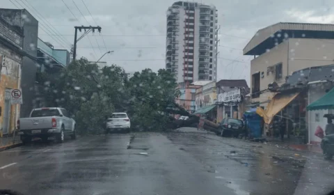 Chuva forte em Manaus provoca tombamentos e riscos de deslizamento