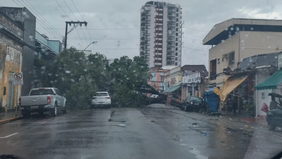 Chuva forte em Manaus provoca tombamentos e riscos de deslizamento
