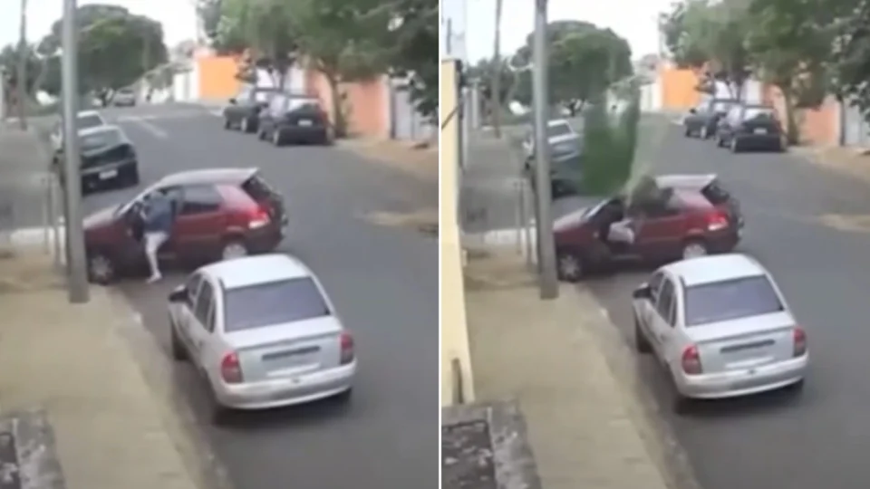 VÍDEO: homem escapa por segundos de ser atingido por árvore em São Paulo