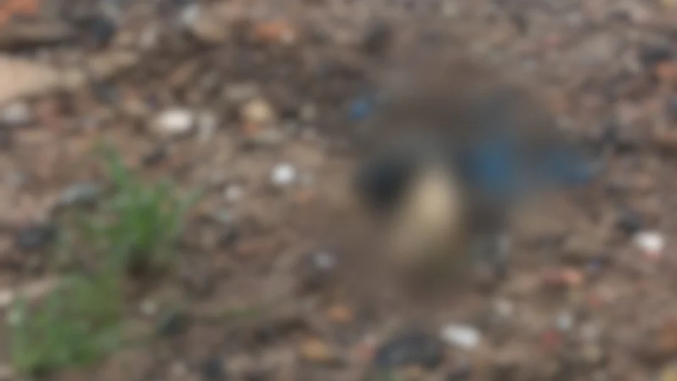 Homem decapitado é encontrado no Porto Chibatão, em Manaus