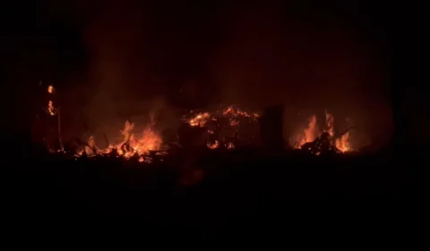 VÍDEO: incêndio atinge área de mata na avenida do Futuro, em Manaus