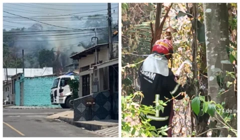VÍDEO: bombeiros controlam incêndio em vegetação na zona Norte de Manaus