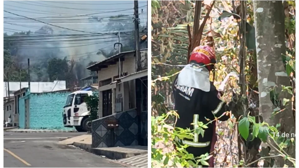 VÍDEO: bombeiros controlam incêndio em vegetação na zona Norte de Manaus