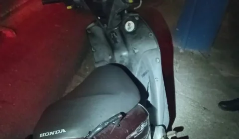 Jovem põe culpa em cachorro ao ser pega com placa adulterada em SC