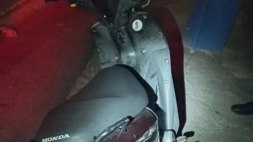 Jovem põe culpa em cachorro ao ser pega com placa adulterada em SC