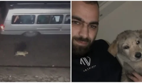 VÍDEO: homem adota cachorro que foi abandonado em rua movimentada