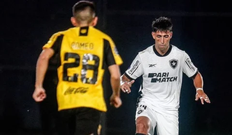 Botafogo prevê melhorias no elenco para 2024