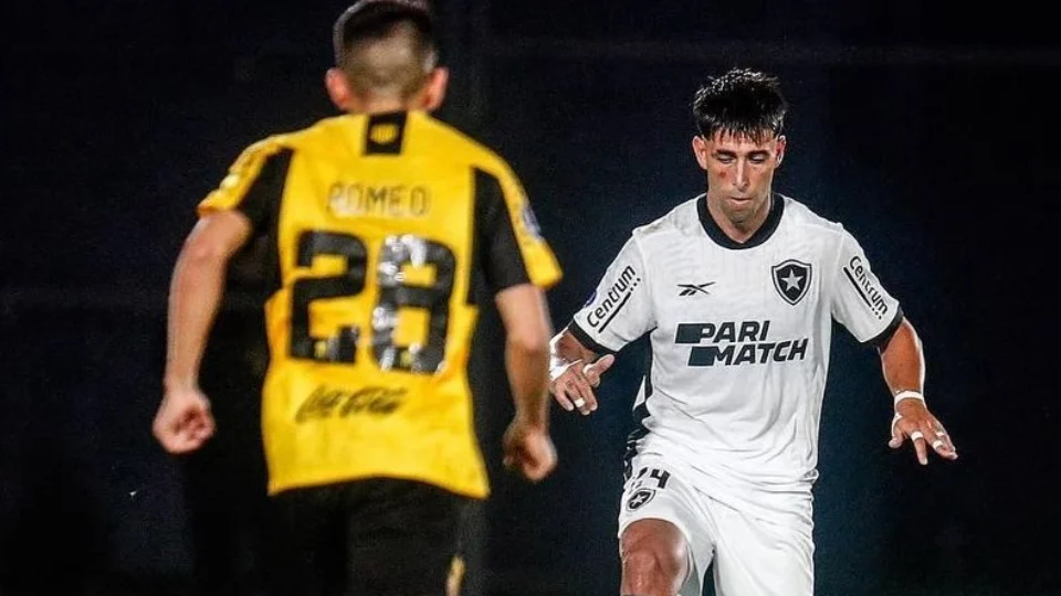 Botafogo prevê melhorias no elenco para 2024