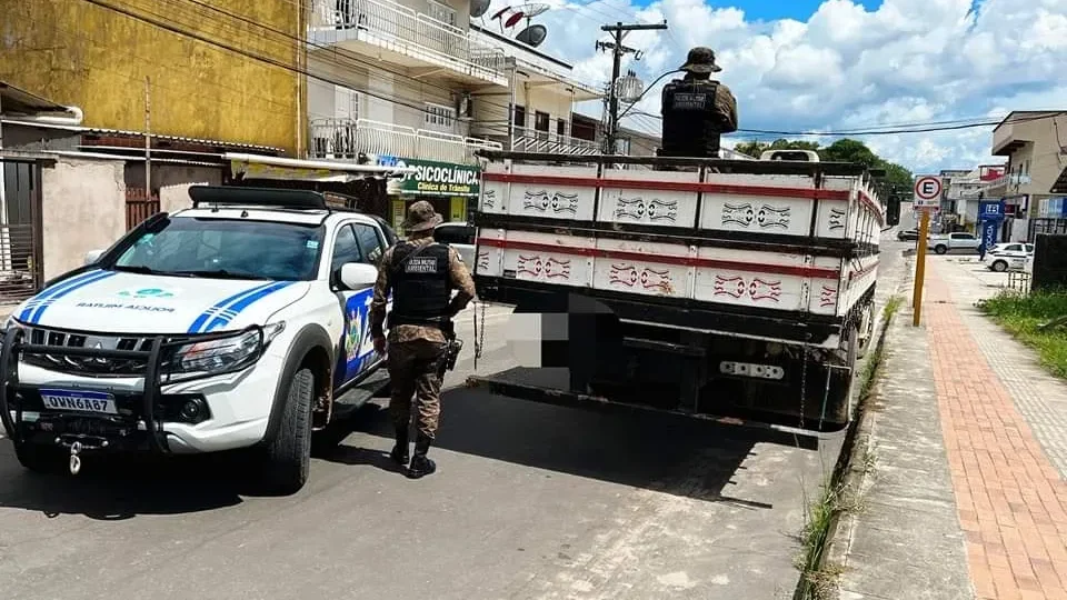 Caminhão com madeira ilegal é apreendido em Cruzeiro do Sul, no Acre