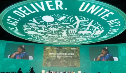 COP 28: Ministra reforça compromisso do Brasil para proteger as florestas