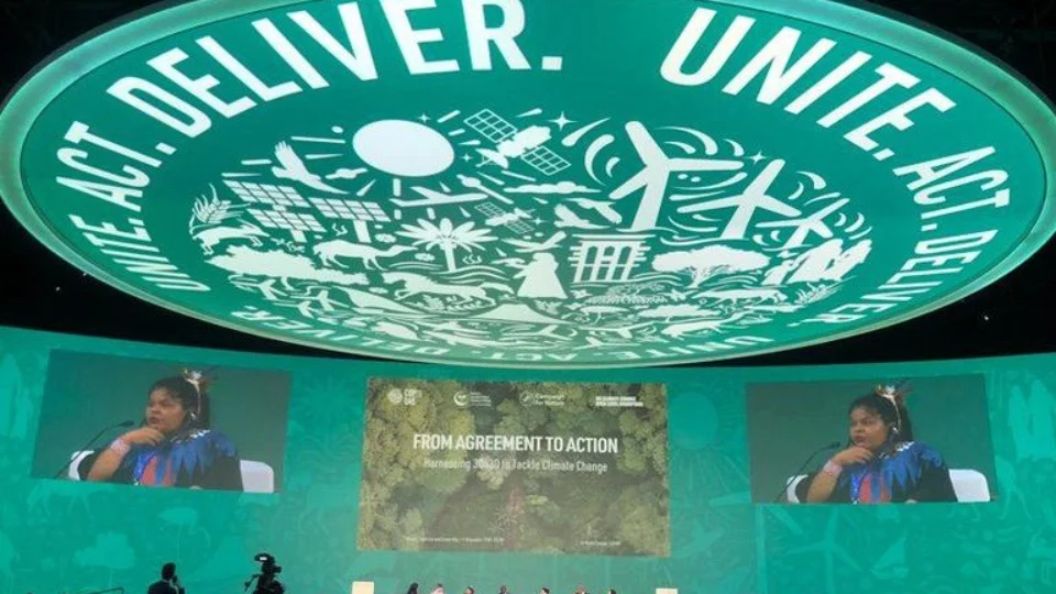 COP 28: Ministra reforça compromisso do Brasil para proteger as florestas