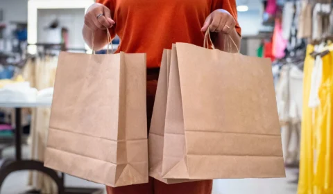 Mulher é presa por furtar caixas de pisca-pisca de Natal em loja de Porto Velho