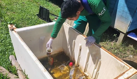 Dengue: AM apresenta médio risco para circulação de Aedes aegypti, diz FVS