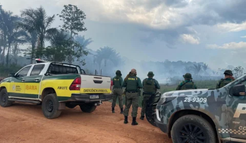 Operação Dríade combate queimadas e desmatamento em Autazes-AM; veja