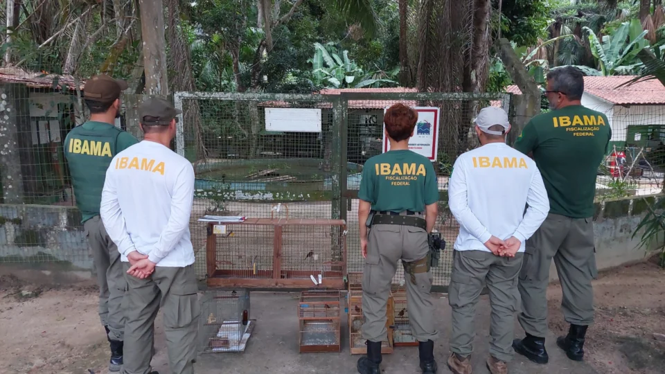 Operação Gênesis apreende 35 aves e aplica R$ 56 mil em multas no AM