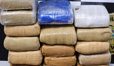 Polícia apreende 16 tabletes de maconha ‘skunk’ avaliados em R$ 240 mil