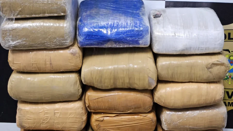 Polícia apreende 16 tabletes de maconha ‘skunk’ avaliados em R$ 240 mil
