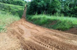Trabalhador rural é encontrado morto com tiro no peito em ramal no AC