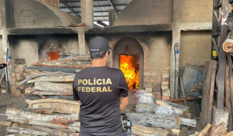 Polícia Federal incinera quase 3 toneladas de drogas em Roraima