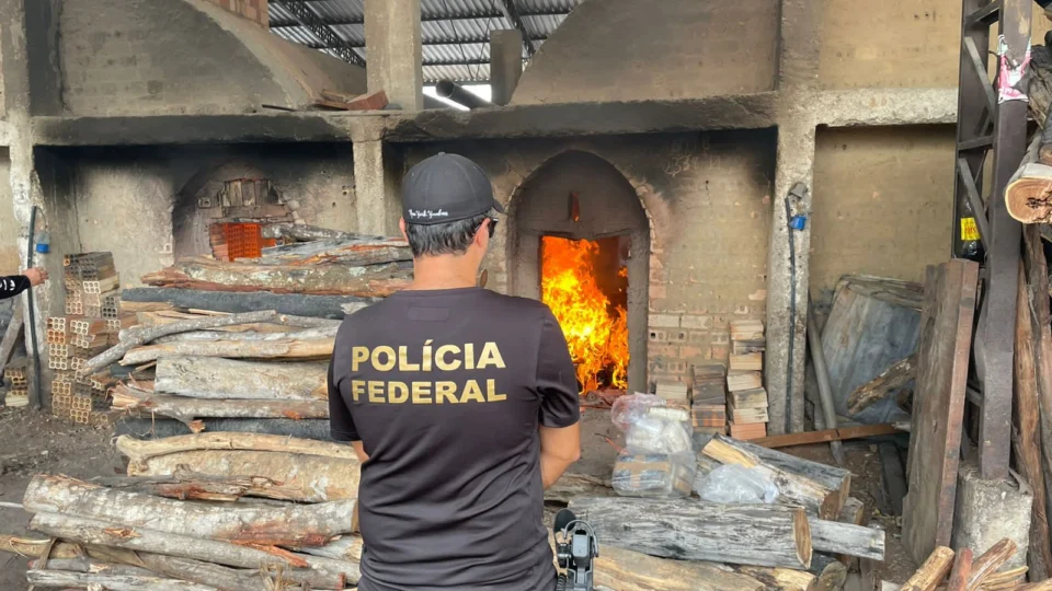 Polícia Federal incinera quase 3 toneladas de drogas em Roraima