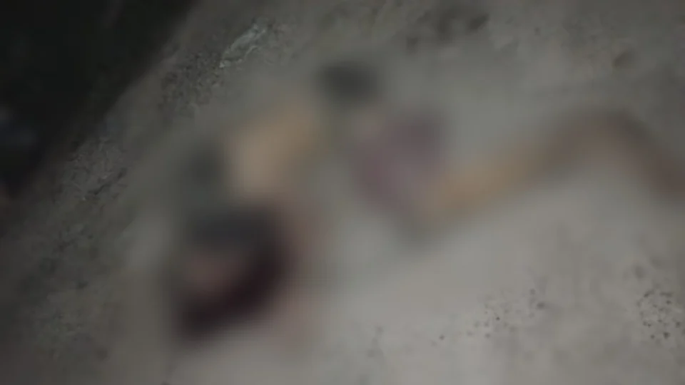 Homem com mãos e pés amarrados é morto a tiros, em Manaus