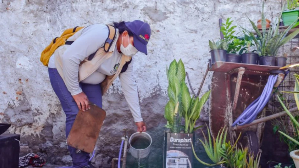 Aedes aegypti: Boa Vista mantém menor índice de 2023 para infestação do mosquito