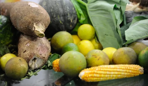 25% dos alimentos de origem vegetal no país têm resíduos de agrotóxicos