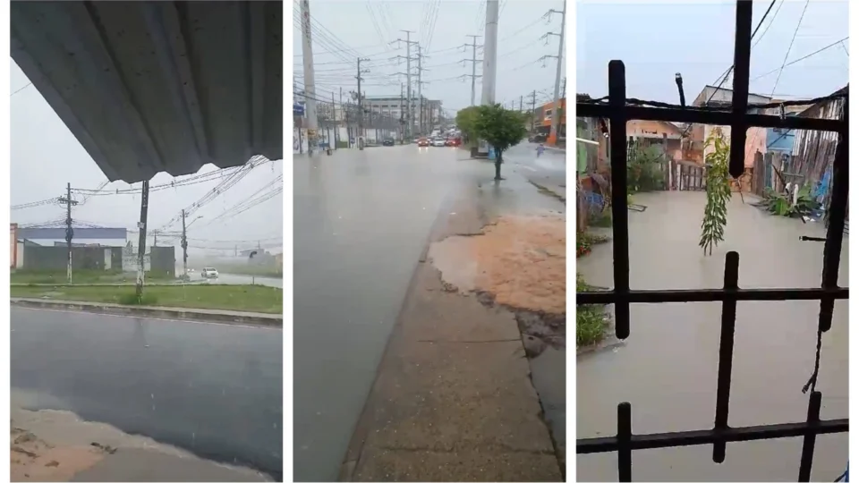 VÍDEO: chuva provoca alagamentos e riscos de tombamento em Manaus