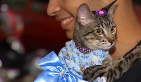 VÍDEO: desfile de bichinhos acontece na primeira edição no Natal Pet em Manaus