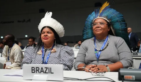 Sonia Guajajara assume chefia da delegação brasileira na COP 28