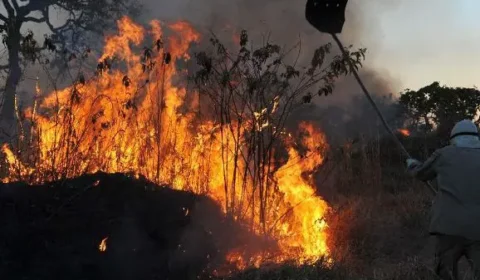 Calendário de queimadas segue aberto até 8 de dezembro em Roraima
