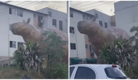 Réplica gigante da Capivara Filó é vista no Viver Melhor 2, em Manaus; veja