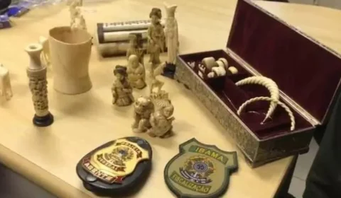 Venda de peças de marfim de elefante no vão livre do Masp é alvo do MPF