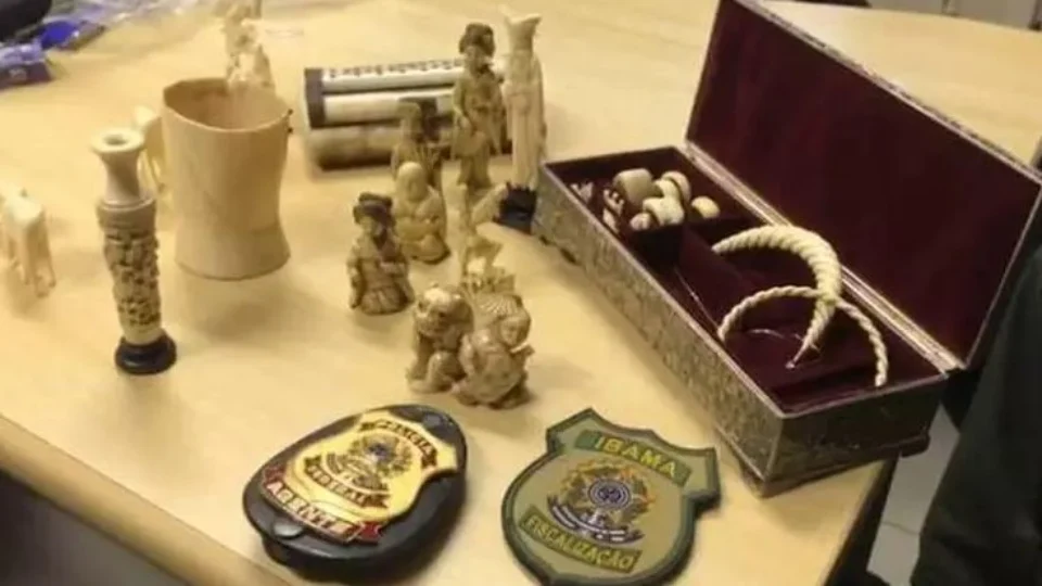 Venda de peças de marfim de elefante no vão livre do Masp é alvo do MPF