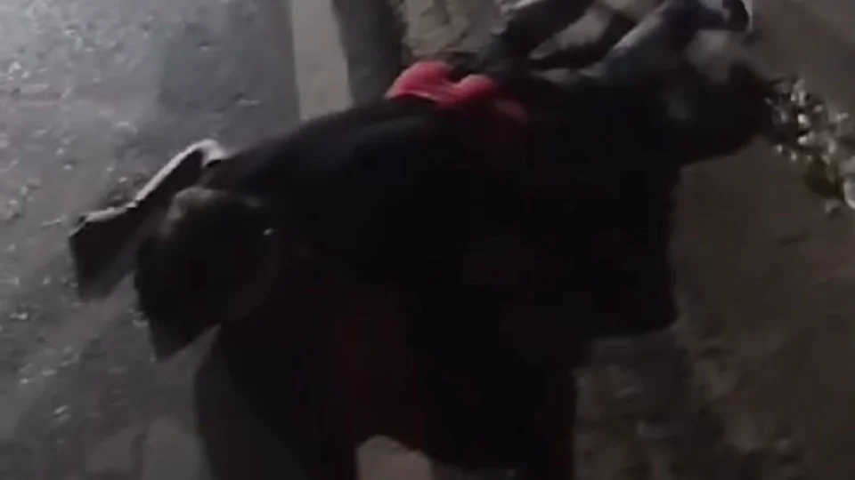 Jovem de 21 anos é encontrado morto no Centro de Boa Vista