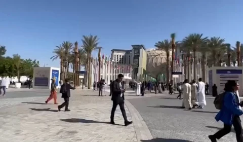 VÍDEO: pesquisador fala sobre a importância dos acordos para o meio ambiente