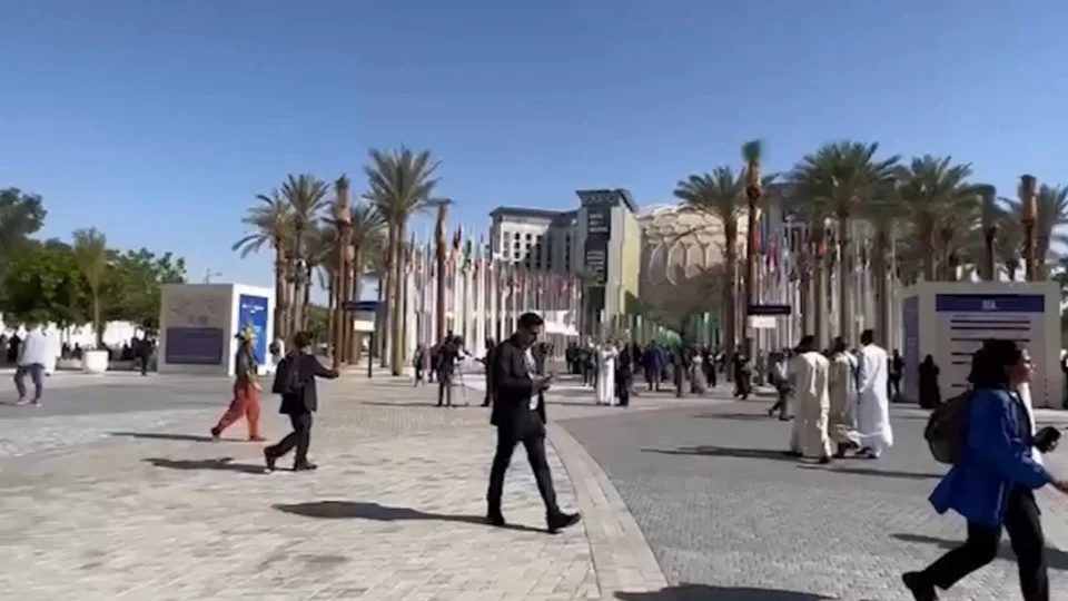 VÍDEO: pesquisador fala sobre a importância dos acordos para o meio ambiente