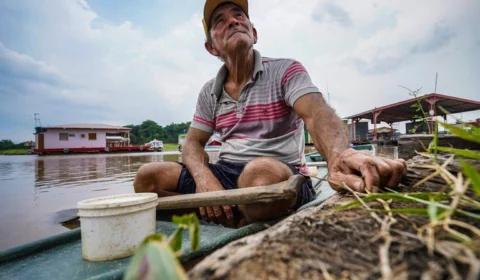 Amazonas, Amapá e Paraná terão pagamento unificado do Programa Bolsa Família