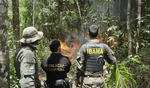 Operações na TI Yanomami destruíram 78 motores de garimpeiros apenas em 2024